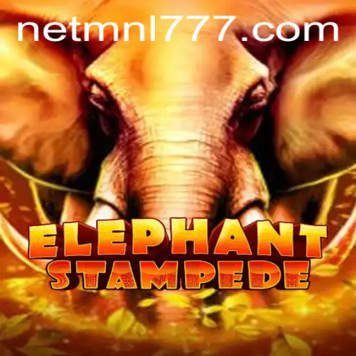 Discover the Thrills of ElephantStampede: Adventure Awaits